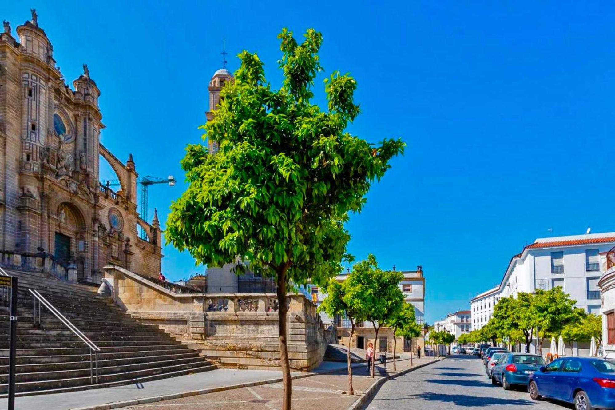 La Torre De La Catedral - Ole Solutions Apartman Jerez de la Frontera Kültér fotó